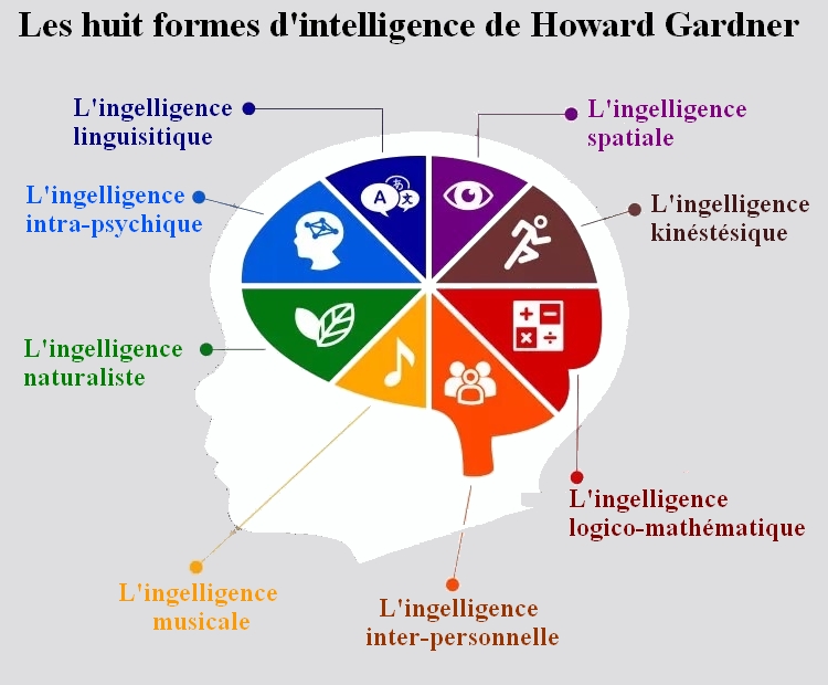 Les huit formes d'intelligence de Howard Gardner